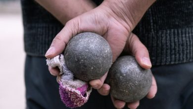 «C’est scandaleux»… Les quilleurs du club de pétanque de Montmartre ont commencé à être expulsés